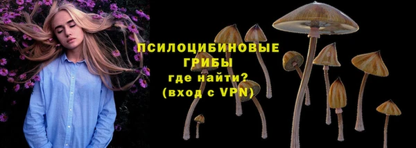 кристаллы Покачи