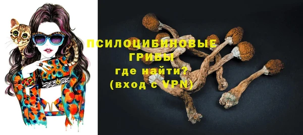 гидропоника Кедровый