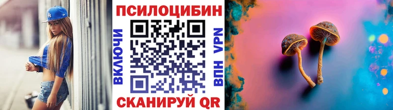 Купить где  Звенигово  Галлюциногенные грибы мухоморы 